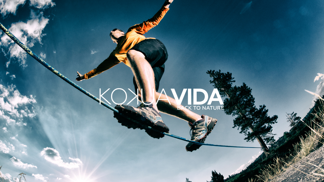 Discovering the Balanced Power of CBD and the Endocannabinoid System
