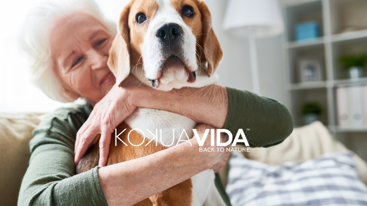 Fur-Real Benefits: Top 5 Reasons You Should Give Your Fur Baby CBD!