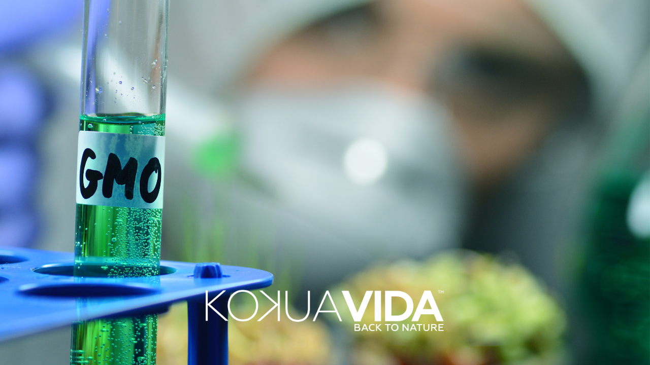 The Unsettling Truth About Genetically Modified Food: Time for a Change?