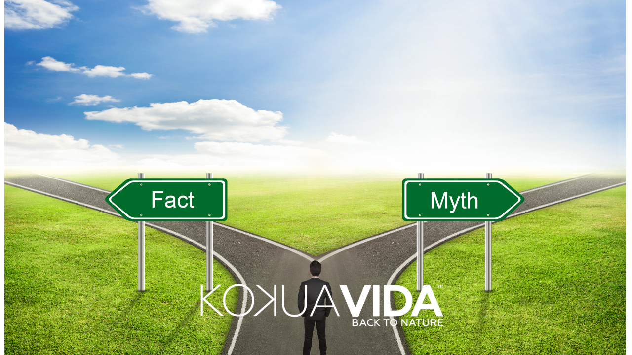 Does Consuming Sugar Cause Diabetes? Myth or Fact?