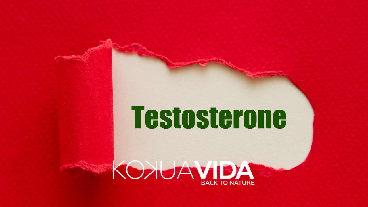 Understanding Testosterone and the Role of the Endocannabinoid System