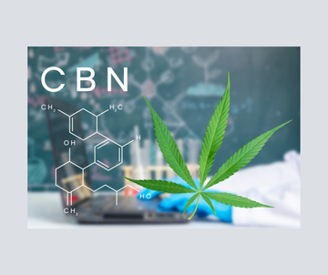 A Comprehensive Guide to Cannabinoids: Nature's Powerful Compounds