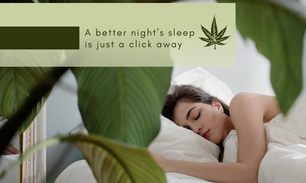 CBD Could Be the Answer to Your Sleep Troubles