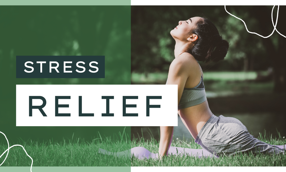 In What Way Do CBD and Stress Relief Relate?