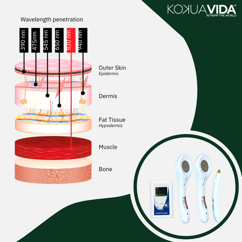 830nm Laser Course: Get Certified to become an 830NM Cold Laser Therapists