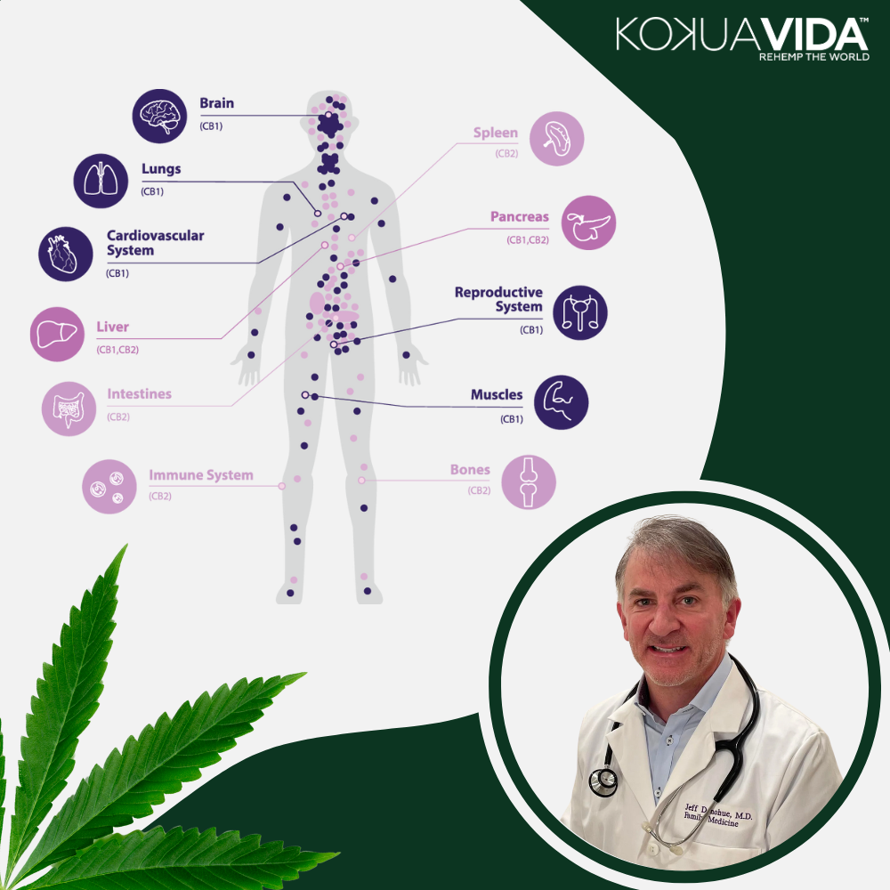 ECS Course: Get Certified and become an expert in Endocannabinoid System Therapy