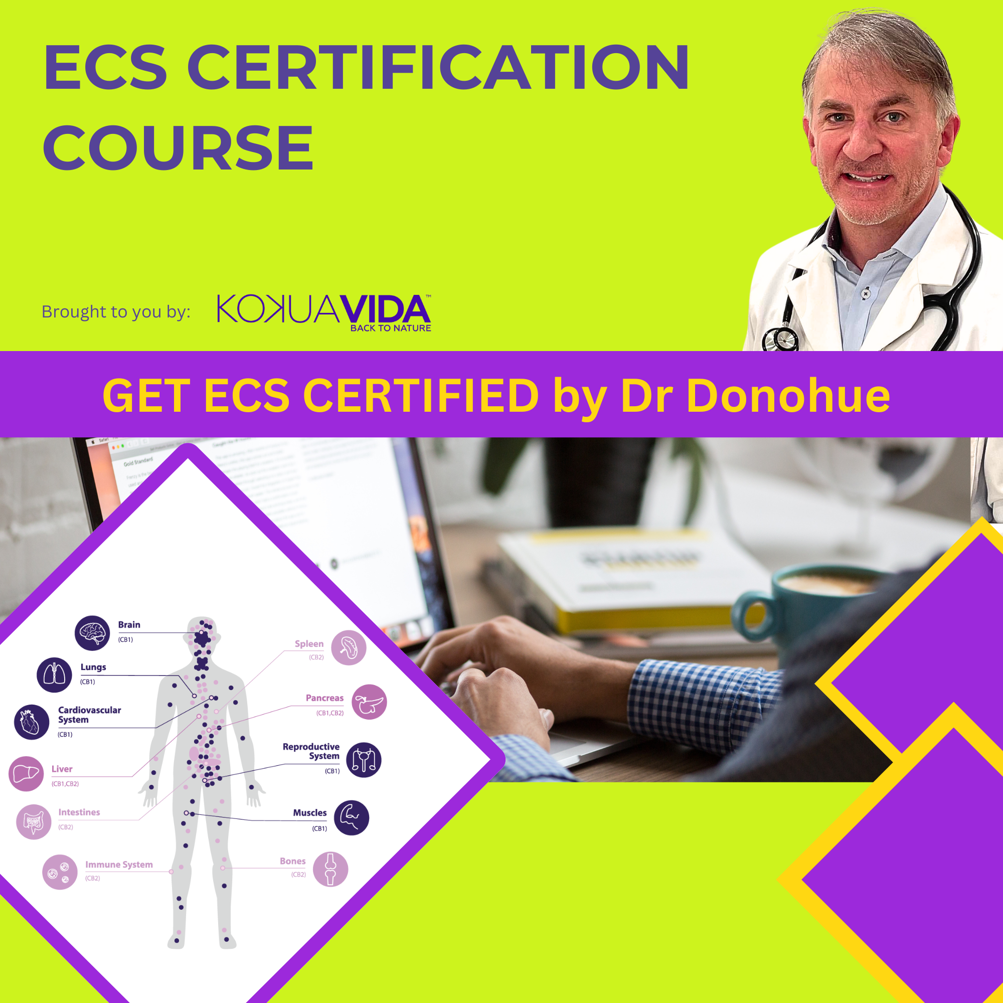 ECS COURSE: Get Certified and become an expert in Endocannabinoid Syst ...