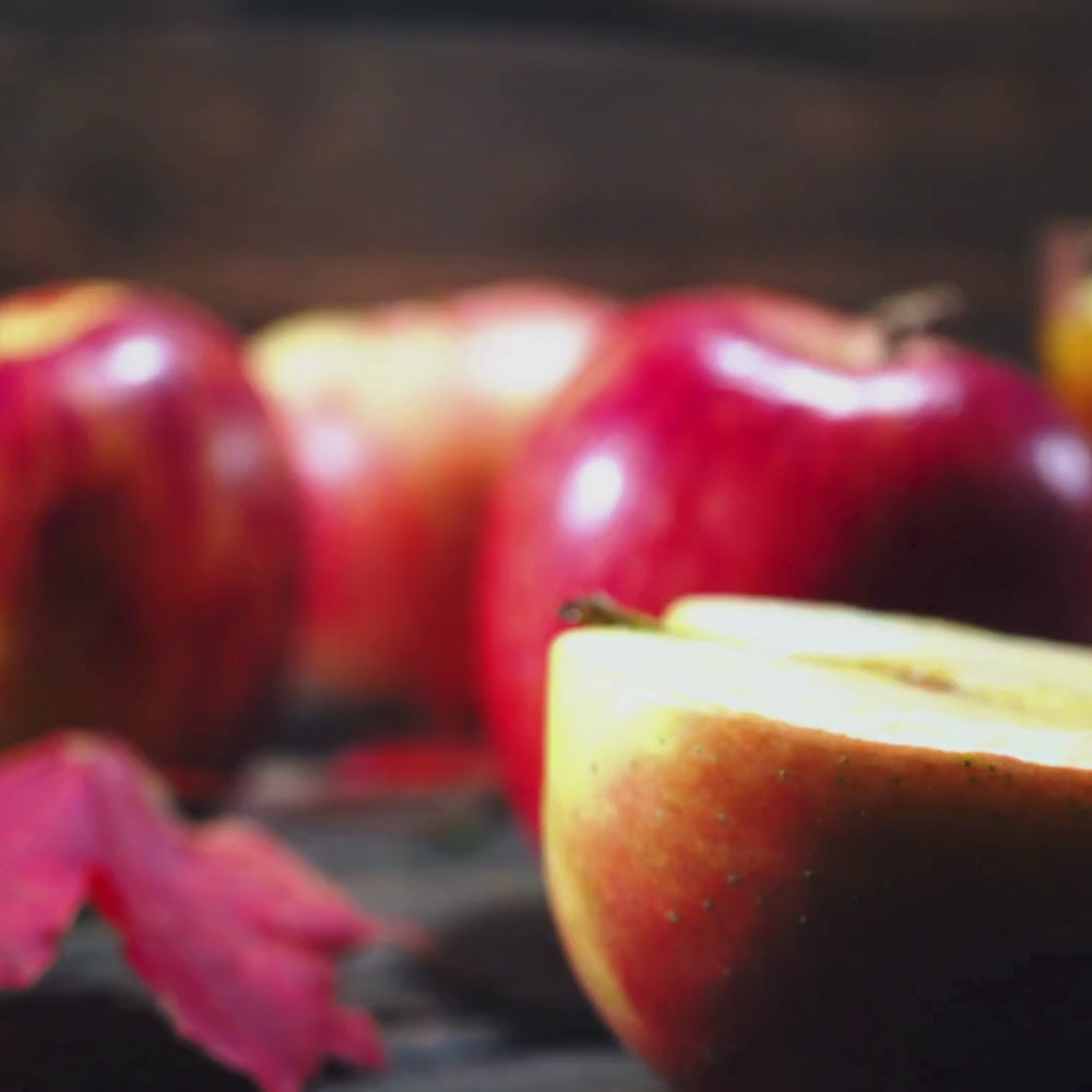 
                      
                        Video in der Galerie ansehen und abspielen, ACV Gummies - Apple Cider Vinegar - Red Apple (USA)
                      
                    
